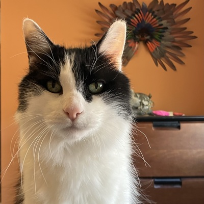 jeridansky@sfba.social